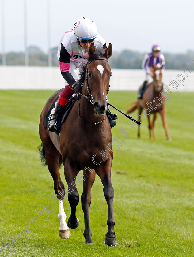 Porta-Fortuna-0001 
 PORTA FORTUNA (Frankie Dettori)
The Curragh 10 Sep 2023 - Pic Steven Cargill / Racingfotos.com