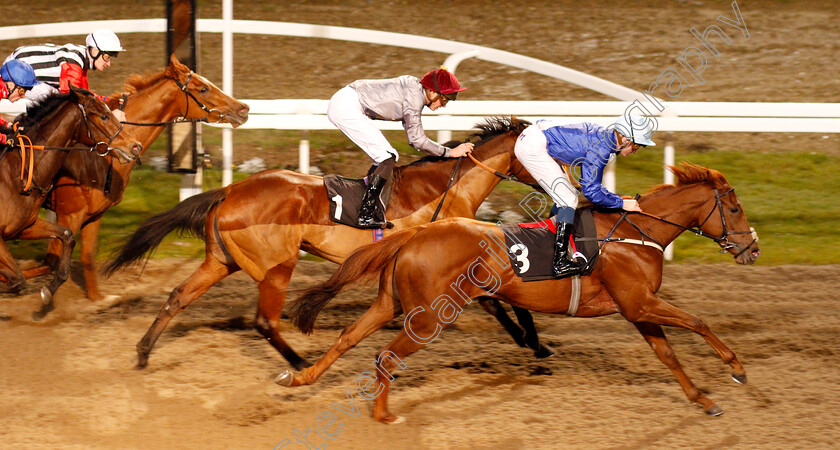 Dawning-0004 
 DAWNING (Rob Hornby) wins The Bet At totesport.com Fillies Novice Stakes Div2
Chelmsford 25 Nov 2019 - Pic Steven Cargill / Racingfotos.com