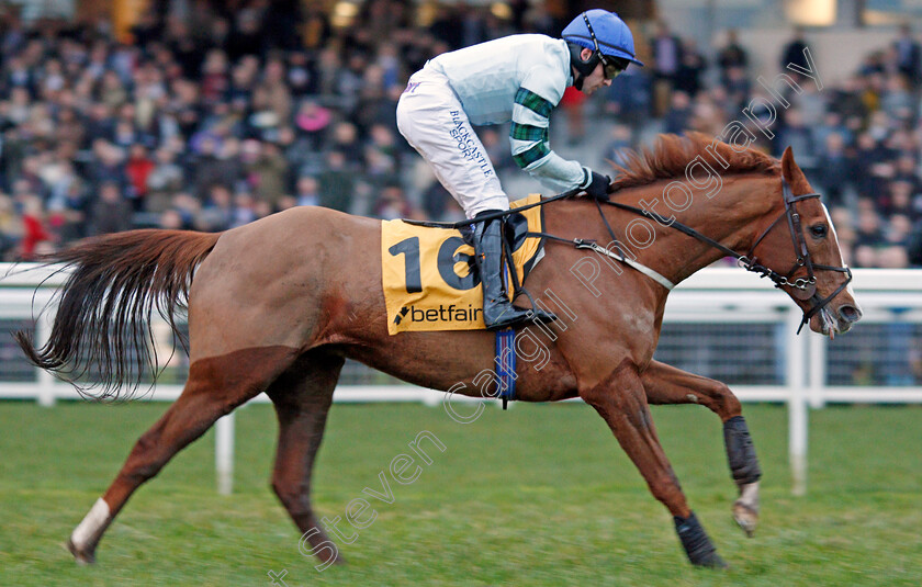 Not-So-Sleepy-0007 
 NOT SO SLEEPY (Jonathan Burke) wins The Betfair Exchange Trophy
Ascot 21 Dec 2019 - Pic Steven Cargill / Racingfotos.com