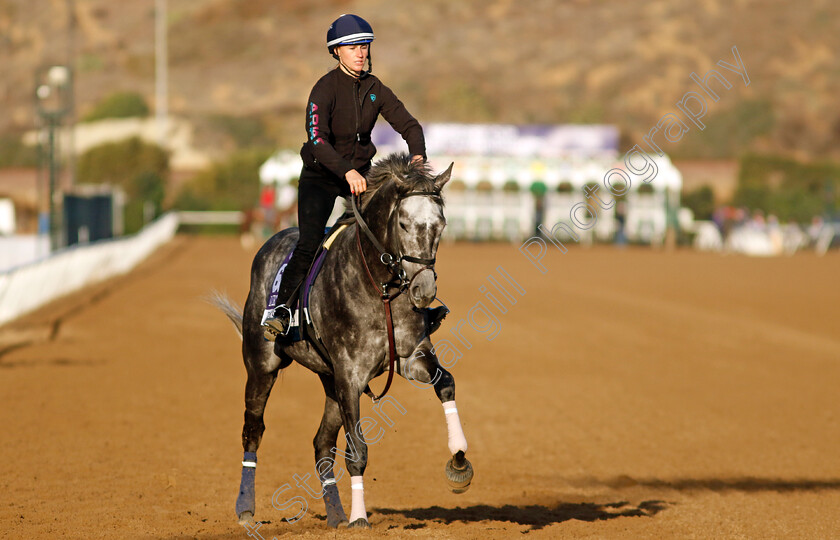 Post-Time-0002 
 POST TIME training for the Breeders' Cup Dirt Mile
Del Mar USA 31 Oct 2024 - Pic Steven Cargill / Racingfotos.com