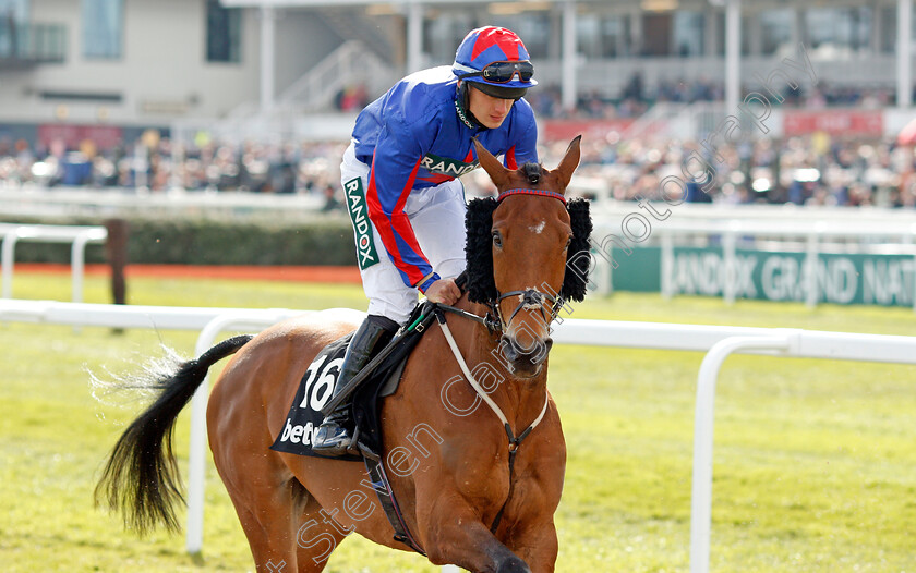 The-Hollow-Ginge 
 THE HOLLOW GINGE (Jordan Nailor)
Aintree 9 Apr 2022 - Pic Steven Cargill / Racingfotos.com