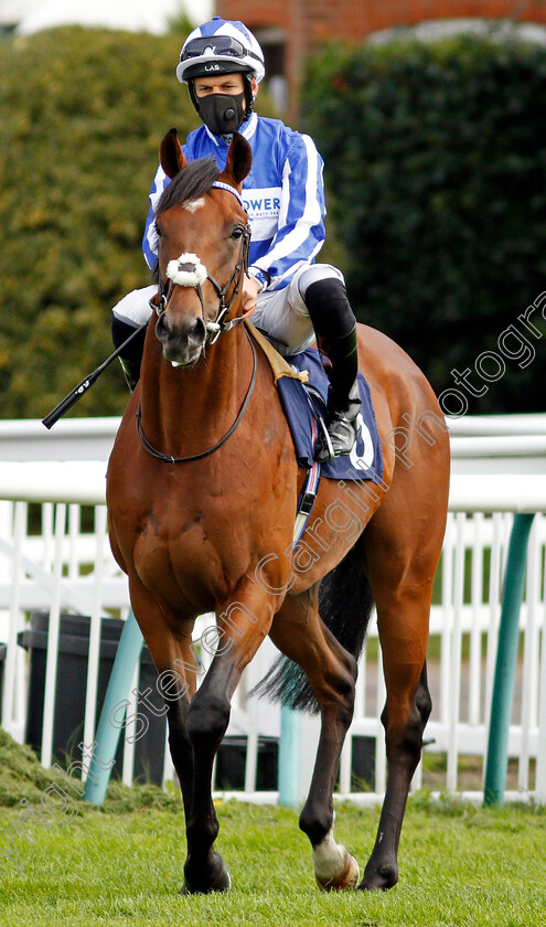 Chairman-Power-0001 
 CHAIRMAN POWER (Pat Dobbs)
Lingfield 2 Sep 2020 - Pic Steven Cargill / Racingfotos.com