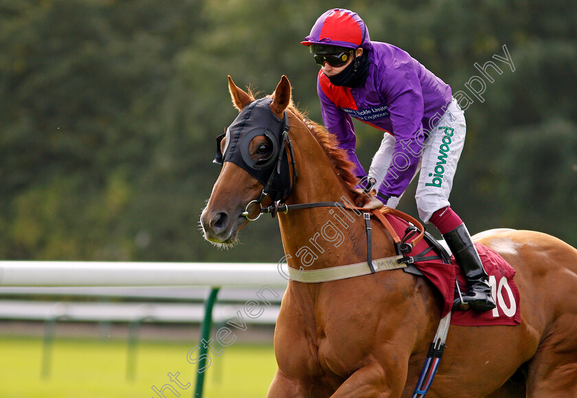 Somewhere-Secret-0001 
 SOMEWHERE SECRET (Andrew Mullen)
Haydock 4 Sep 2020 - Pic Steven Cargill / Racingfotos.com