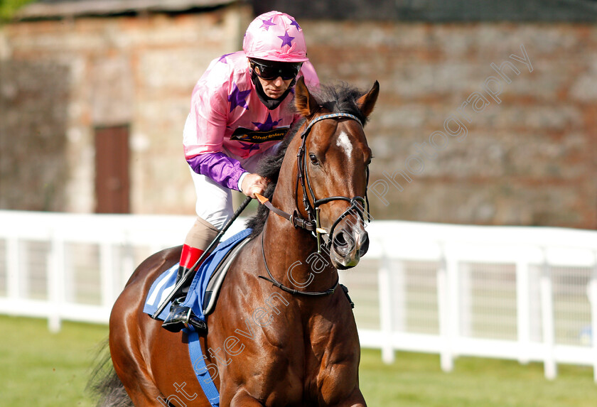 Youllovemewheniwin-0002 
 YOULLOVEMEWHENIWIN (Jimmy Quinn)
Salisbury 1 Oct 2020 - Pic Steven Cargill / Racingfotos.com