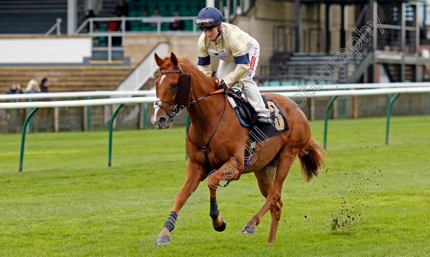 Beamish-0001 
 BEAMISH (Hollie Doyle)
Newmarket 26 Sep 2024 - pic Steven Cargill / Racingfotos.com