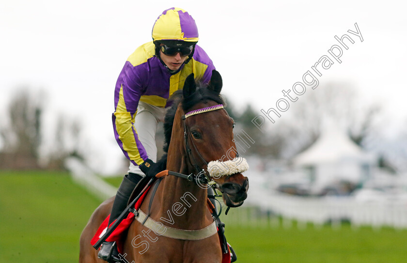 Le-Patron-0002 
 LE PATRON (Niall Houlihan)
Sandown 3 Feb 2024 - Pic Steven Cargill / Racingfotos.com