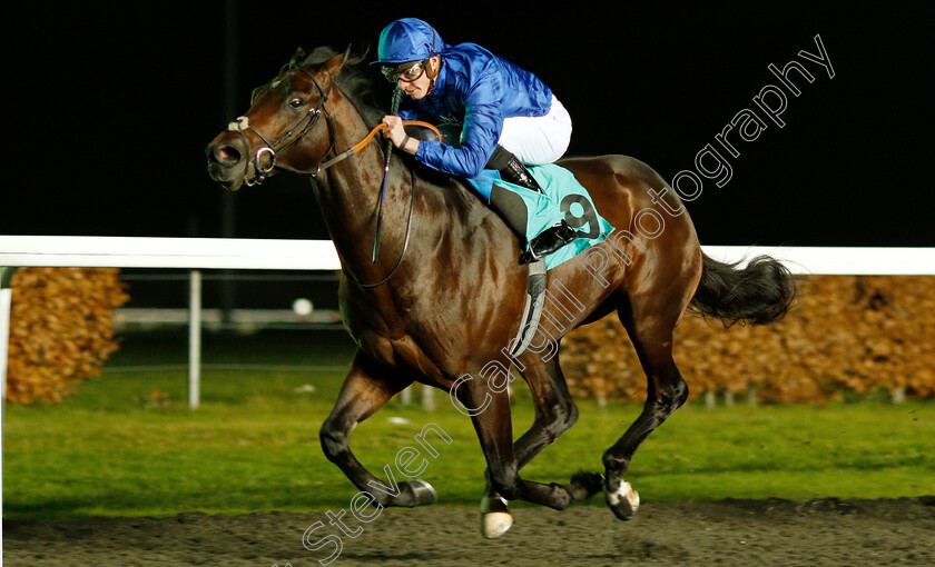 Zakouski-0005 
 ZAKOUSKI (James Doyle) wins The 32Red Casino ebfstallions.com Novice Stakes Div1
Kempton 21 Nov 2018 - Pic Steven Cargill / Racingfotos.com