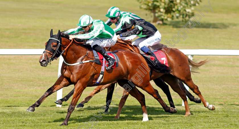 Port-Winston-0006 
 PORT WINSTON (David Probert) wins The Betway Nursery
Sandown 30 Aug 2019 - Pic Steven Cargill / Racingfotos.com