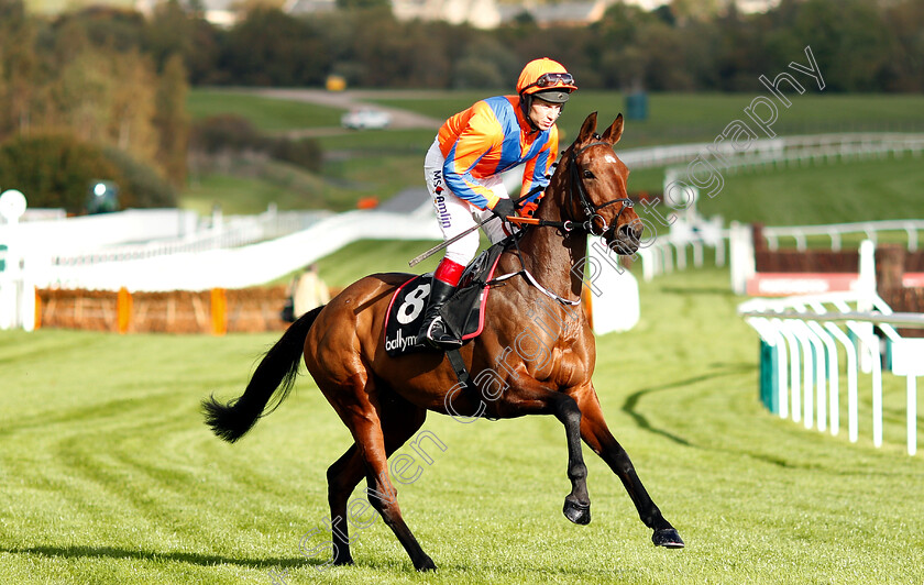 Make-My-Heart-Fly-0001 
 MAKE MY HEART FLY (Richard Johnson)
Cheltenham 26 Oct 2018 - Pic Steven Cargill / Racingfotos.com