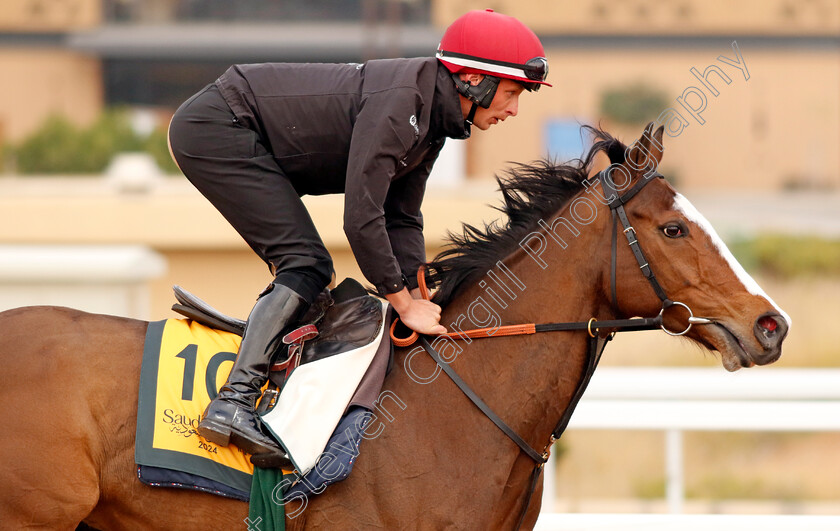 Spirit-Dancer-0004 
 SPIRIT DANCER training for The Neom Turf Cup
King Abdulaziz Racetrack, Saudi Arabia 22 Feb 2024 - Pic Steven Cargill / Racingfotos.com