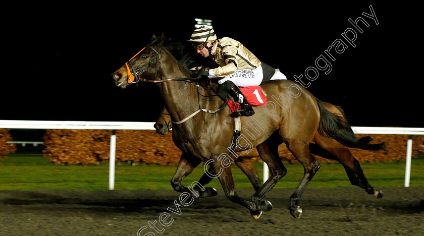 Doc-Sportello-0001 
 DOC SPORTELLO (Robert Winston) wins The 32Red.com Handicap
Kempton 16 Jan 2019 - Pic Steven Cargill / Racingfotos.com