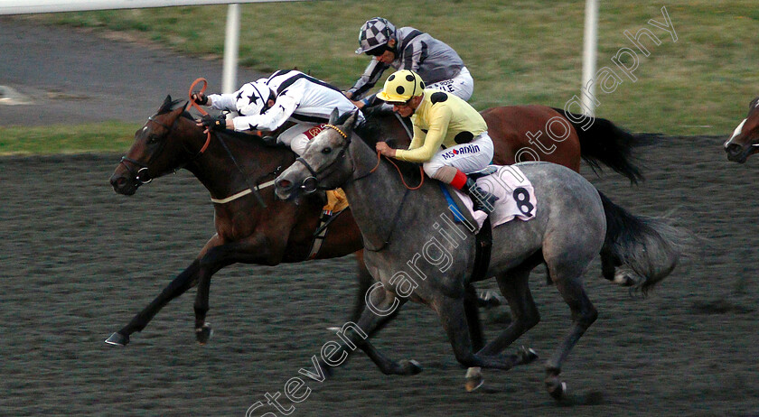 Dubrava-0003 
 DUBRAVA (nearside, Andrea Atzeni) beats INDIAN VICEROY (left) in The Matchbook 2% Net Win Handicap
Kempton 7 Aug 2019 - Pic Steven Cargill / Racingfotos.com