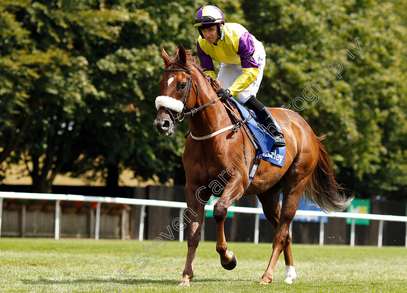 Brando-0001 
 BRANDO (Tom Eaves)
Newmarket 14 Jul 2018 - Pic Steven Cargill / Racingfotos.com