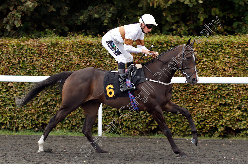 Dream-Catching-0002 
 DREAM CATCHING (Jason Watson) winner of The 32Red On The App Store Handicap
Kempton 18 Sep 2018 - Pic Steven Cargill / Racingfotos.com