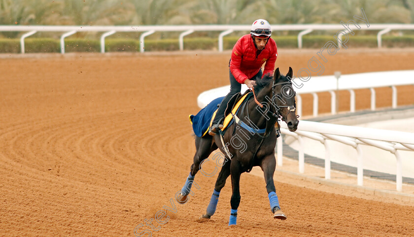 Calif-0001 
 CALIF training for The Neom Turf Cup
King Abdulaziz Racetrack, Saudi Arabia 22 Feb 2024 - Pic Steven Cargill / Racingfotos.com