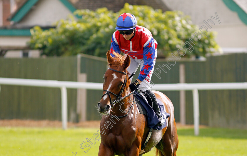 Eight-Of-Diamonds-0002 
 EIGHT OF DIAMONDS (Tom Marquand)
Yarmouth 16 Sep 2021 - Pic Steven Cargill / Racingfotos.com