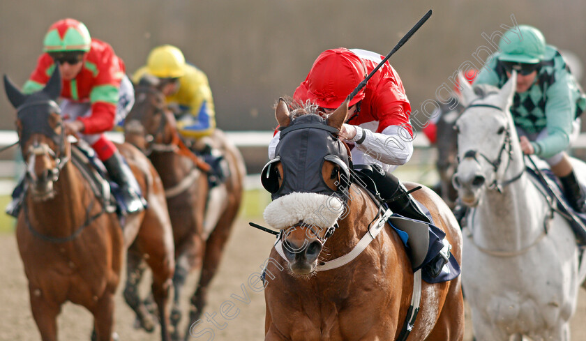 Crimewave-0006 
 CRIMEWAVE (Jack Mitchell) wins The Heed Your Hunch At Betway Handicap
Lingfield 22 Feb 2020 - Pic Steven Cargill / Racingfotos.com