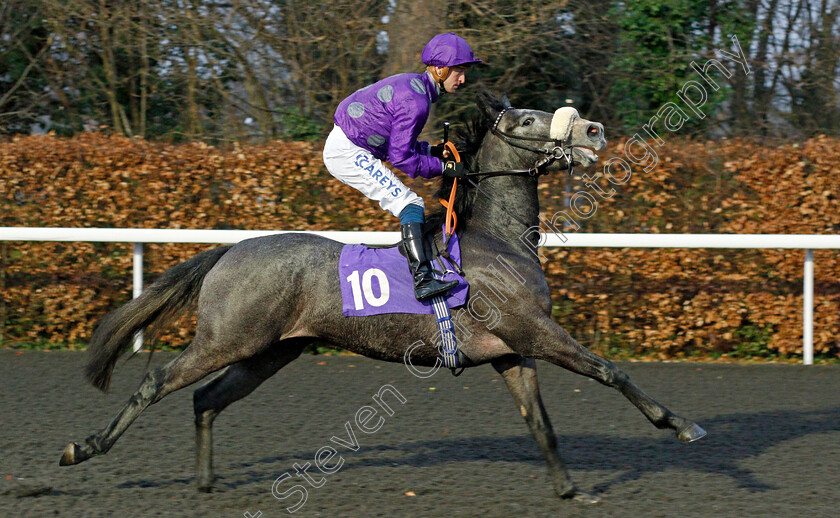 Oxygen-Thief 
 OXYGEN THIEF (Joey Haynes)
Kempton 16 Feb 2022 - Pic Steven Cargill / Racingfotos.com