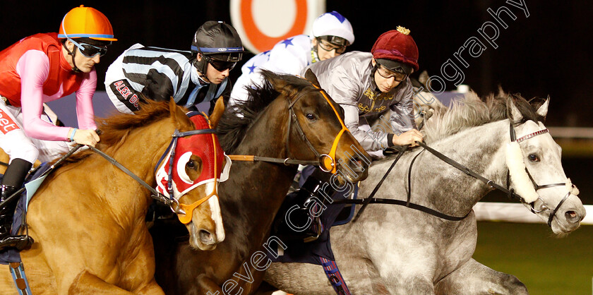 Hermocrates-0001 
 HERMOCRATES (centre, Rossa Ryan) with FENJAL (right) and VIN D'HONNEUR (left) on his way to winning in The Ladbrokes Home Of The Odds Boost Handicap 
Wolverhampton 7 Jan 2019 - Pic Steven Cargill / Racingfotos.com