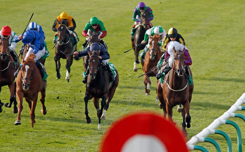 Laurens-0004 
 LAURENS (right, P J McDonald) beats SEPTEMBER (centre) and MAGIC LILY (left) in The bet365 Fillies Mile Newmarket 13 Oct 2017 - Pic Steven Cargill / Racingfotos.com