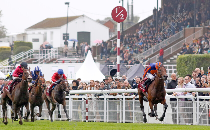 Paddington-0009 
 PADDINGTON (Ryan Moore) beats FACTEUR CHEVAL (left) in The Qatar Sussex Stakes
Goodwood 2 Aug 2023 - Pic Steven Cargill / Racingfotos.com