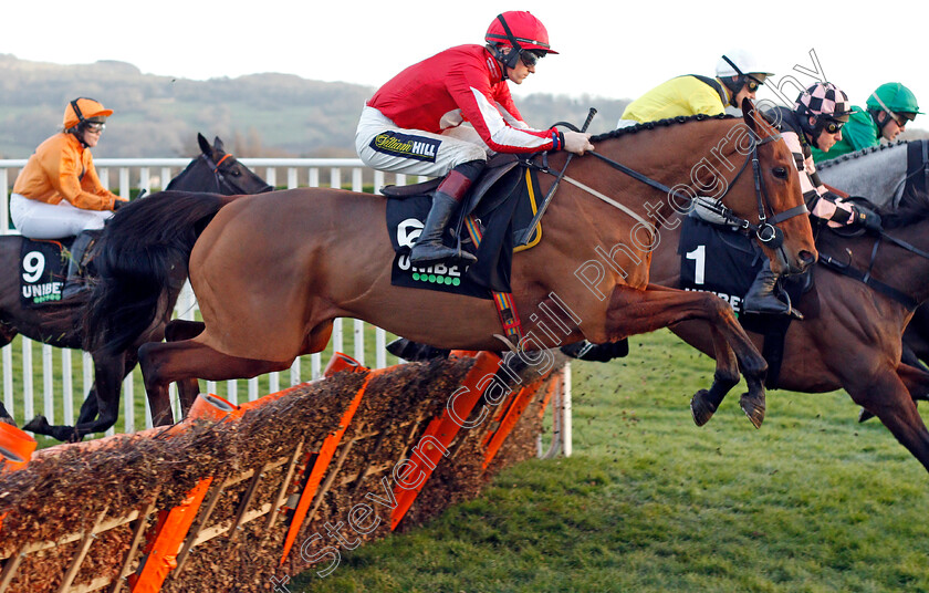 Ballyandy-0001 
 BALLYANDY (Sam Twiston-Davies)
Cheltenham 14 Dec 2019 - Pic Steven Cargill / Racingfotos.com