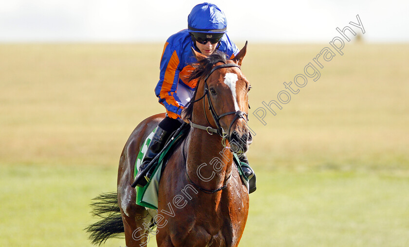 Royal-Dornoch-0004 
 ROYAL DORNOCH (Wayne Lordan) after The Juddmonte Royal Lodge Stakes
Newmarket 28 Sep 2019 - Pic Steven Cargill / Racingfotos.com