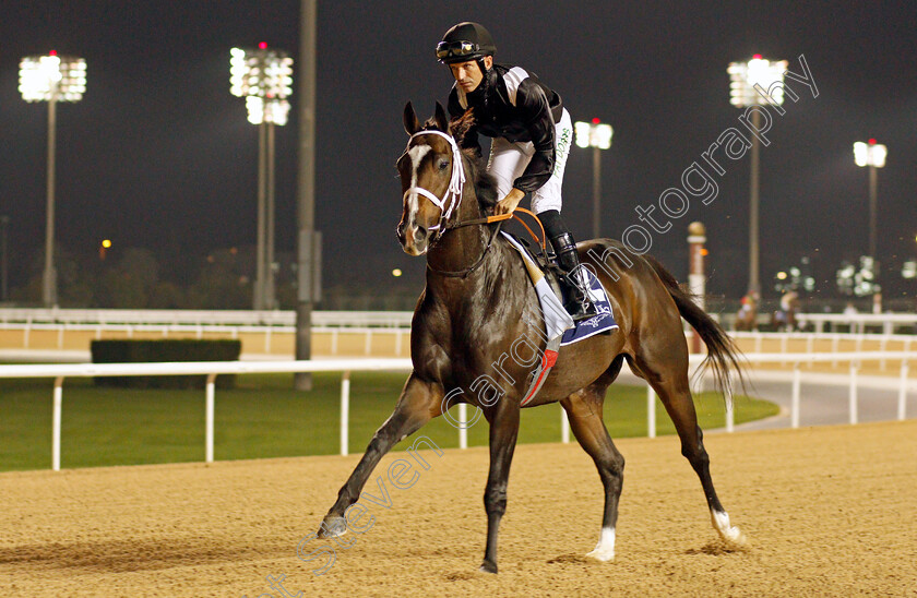 Everfast-0002 
 EVERFAST (Pat Dobbs)
Meydan 4 Feb 2022 - Pic Steven Cargill / Racingfotos.com