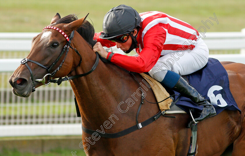 Redemptive-0004 
 REDEMPTIVE (William Buick) wins The Watch Free Replays On attheraces.com Handicap Div2
Yarmouth 25 Aug 2020 - Pic Steven Cargill / Racingfotos.com