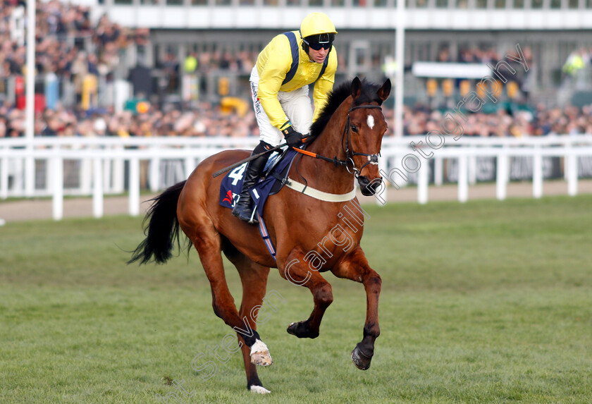 Lostintranslation-0002 
 LOSTINTRANSLATION (Robbie Power)
Cheltenham 14 Mar 2019 - Pic Steven Cargill / Racingfotos.com