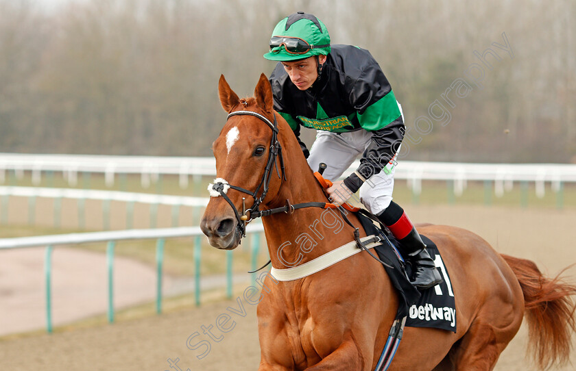 Leoro-0001 
 LEORO (Shane Kelly) Lingfield 3 Mar 2018 - Pic Steven Cargill / Racingfotos.com