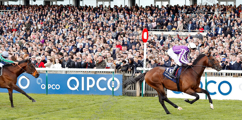 Magna-Grecia-0007 
 MAGNA GRECIA (Donnacha O'Brien) beats KING OF CHANGE (left) in The Qipco 2000 Guineas
Newmarket 4 May 2019 - Pic Steven Cargill / Racingfotos.com