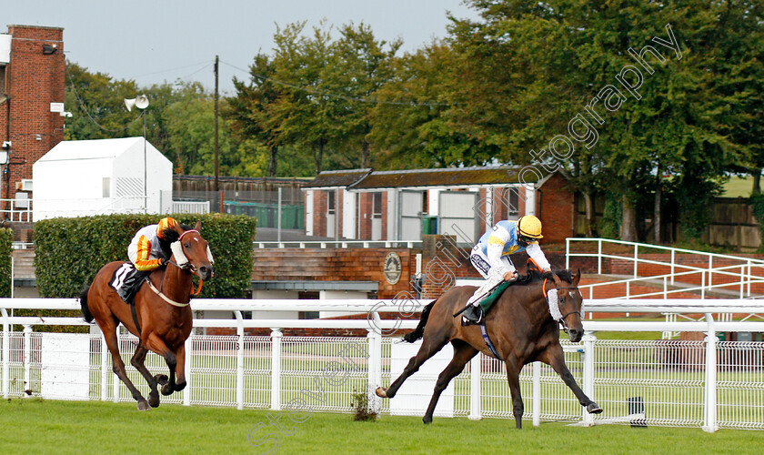 Call-My-Bluff-0002 
 CALL MY BLUFF (Harry Bentley) wins The Ladbrokes Watch Racing Online For Free Handicap
Goodwood 28 Aug 2020 - Pic Steven Cargill / Racingfotos.com