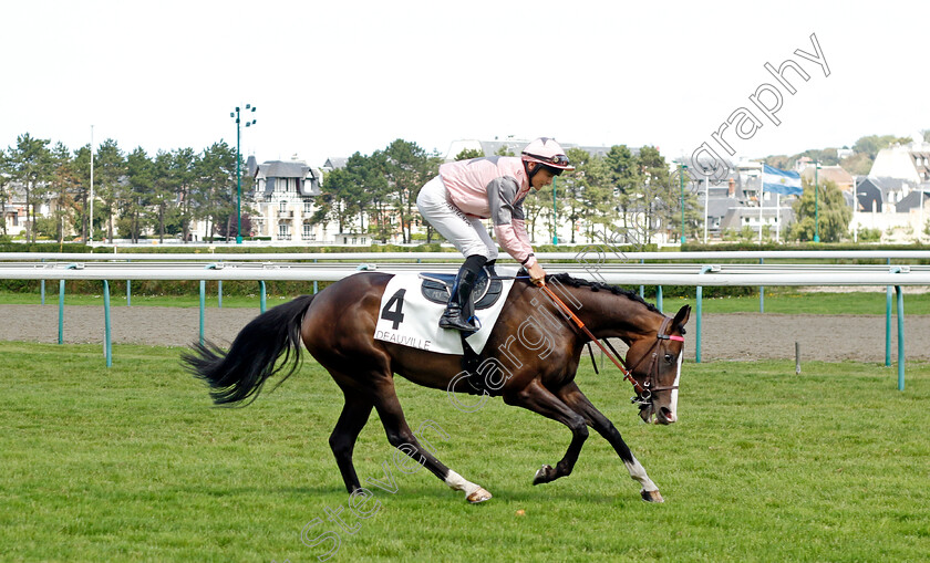 Up-To-The-Moon-0001 
 UP TO THE MOON (M Justum)
Deauville 12 Aug 2023 - Pic Steven Cargill / Racingfotos.com