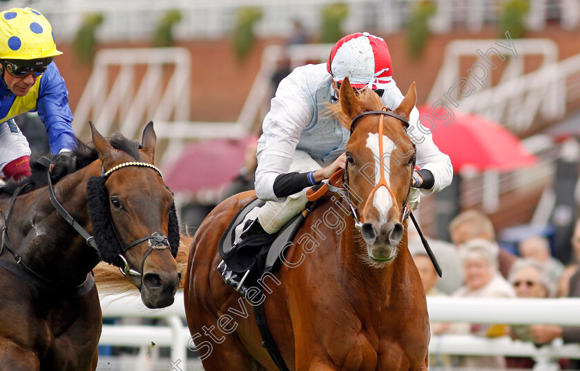 Lawful-Command-0007 
 LAWFUL COMMAND (Louis Steward) wins The Goodwood Racecourse Patrons Handicap
Goodwood 20 May 2022 - Pic Steven Cargill / Racingfotos.com