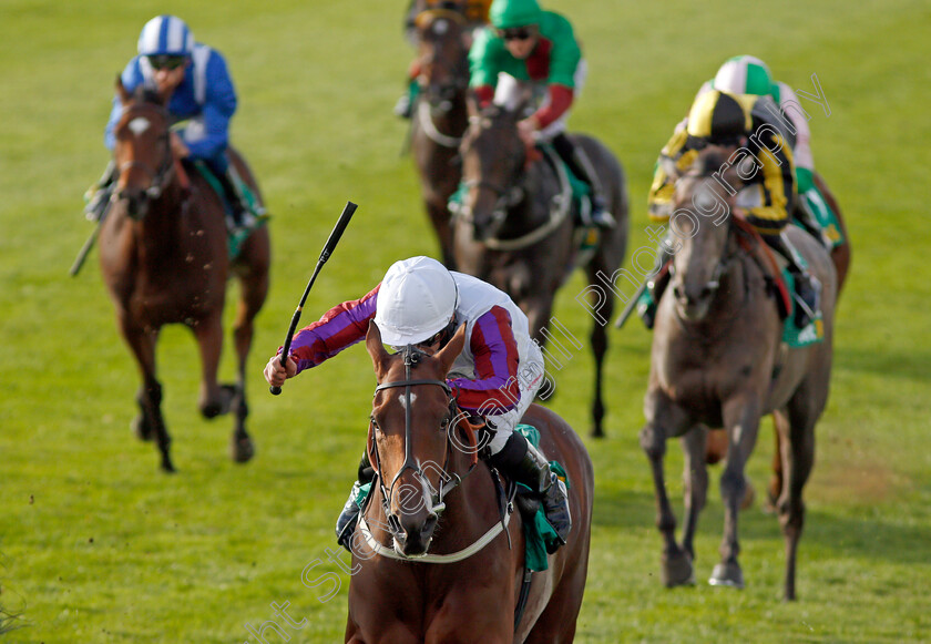 Laurens-0007 
 LAURENS (P J McDonald) wins The bet365 Fillies Mile Newmarket 13 Oct 2017 - Pic Steven Cargill / Racingfotos.com