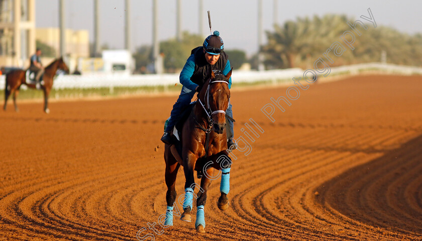 Senor-Buscador-0001 
 SENOR BUSCADOR training for The Saudi Cup
King Abdulaziz Racecourse, Saudi Arabia 21 Feb 2024 - Pic Steven Cargill / Racingfotos.com