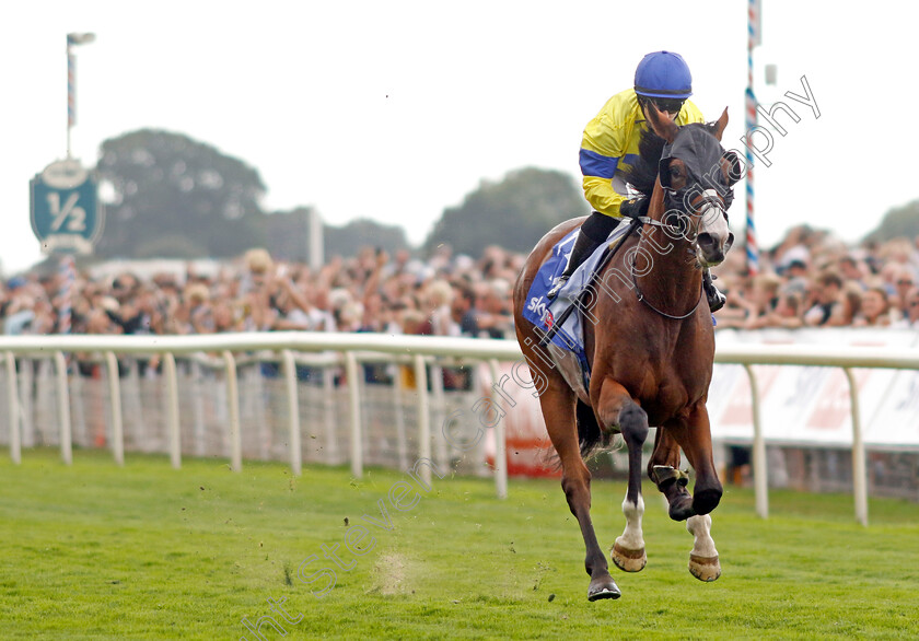 Soulcombe-0004 
 SOULCOMBE (Hollie Doyle) wins The Sky Bet Melrose Stakes
York 20 Aug 2022 - Pic Steven Cargill / Racingfotos.com