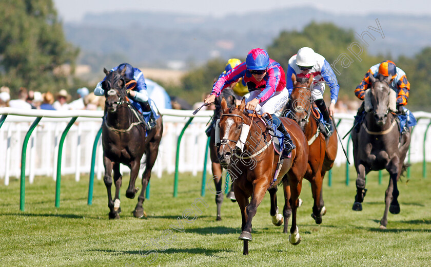 Sly-Madam-0004 
 SLY MADAM (William Carver) wins The M J Church Handicap
Salisbury 11 Aug 2022 - Pic Steven Cargill / Racingfotos.com