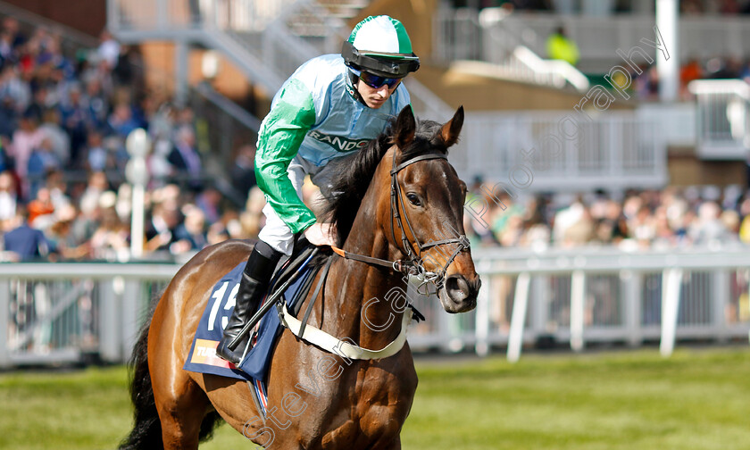 You-Wear-It-Well-0001 
 YOU WEAR IT WELL (Gavin Sheehan)
Aintree 15 Apr 2023 - Pic Steven Cargill / Racingfotos.com