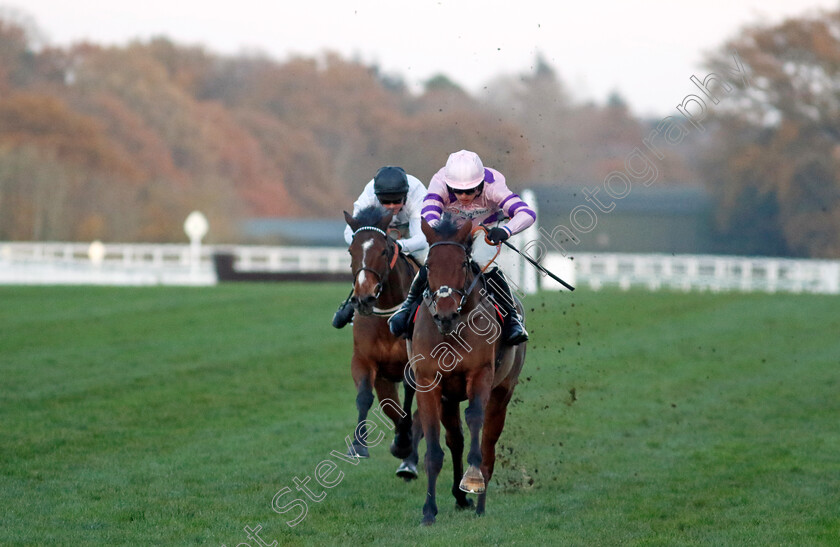 Regent s-Stroll-0003 
 REGENT'S STROLL (Harry Cobden) wins The Nirvana Spa Open National Hunt Flat Race
Ascot 25 Nov 2023 - Pic Steven Cargill / Racingfotos.com