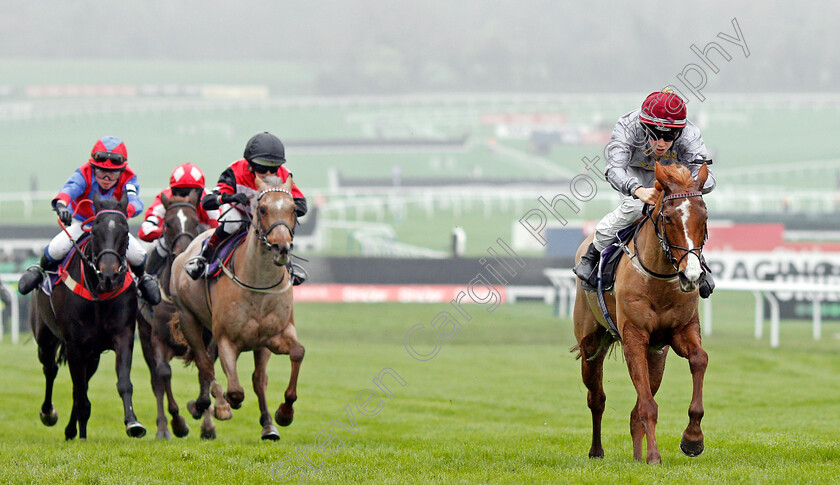 Little-Anne-0001 
 LITTLE ANNE (Harry Davies) wins The Charles Owen Pony Race 138cm & under
Cheltenham 17 Nov 2019 - Pic Steven Cargill / Racingfotos.com