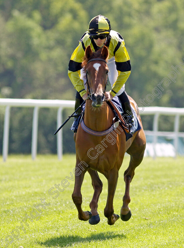 Falmouth-Ballerina 
 FALMOUTH BALLERINA (Taylor Fisher)
Chepstow 27 May 2022 - Pic Steven Cargill / Racingfotos.com