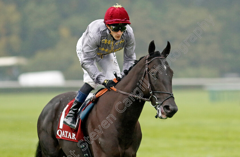 Houquetot-0001 
 HOUQUETOT (A Lemaitre)
Longchamp 6 Oct 2024 - Pic Steven Cargill / Racingfotos.com