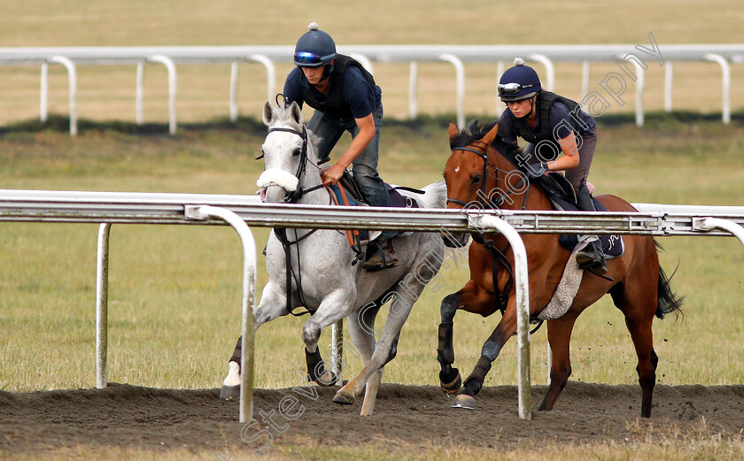 Delishess-0001 
 DELISHESS
Newmarket 30 Jun 2018 - Pic Steven Cargill / Racingfotos.com