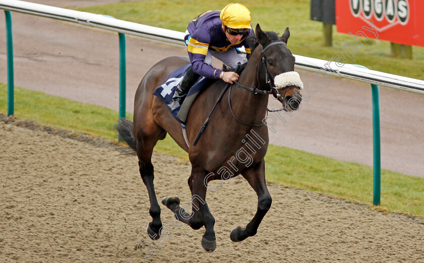 Dancing-Brave-Bear-0007 
 DANCING BRAVE BEAR (Stevie Donohoe) wins The 32Red Casino EBF Fillies Novice Stakes Lingfield 20 Dec 2017 - Pic Steven Cargill / Racingfotos.com