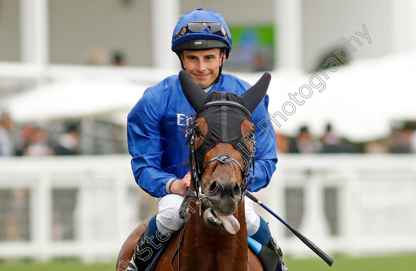 Noble-Truth-0007 
 NOBLE TRUTH (William Buick) after The Jersey Stakes
Royal Ascot 18 Jun 2022 - Pic Steven Cargill / Racingfotos.com