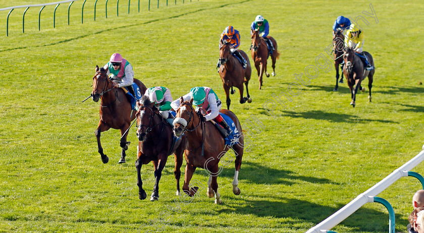 Chaldean-0003 
 CHALDEAN (Frankie Dettori) beats ROYAL SCOTSMAN (2nd left) and NOSTRUM (left) in The Darley Dewhurst Stakes
Newmarket 8 Oct 2022 - Pic Steven Cargill / Racingfotos.com