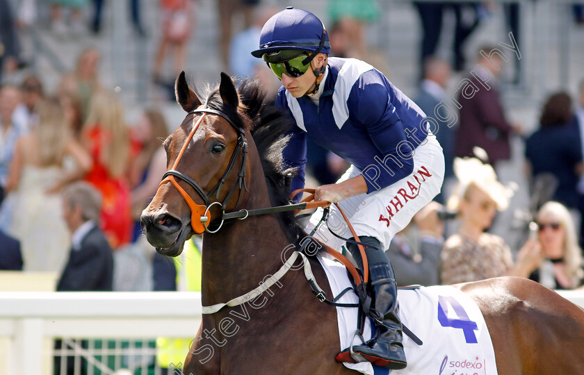 Definitive-0001 
 DEFINITIVE (Tom Marquand)
Ascot 27 Jul 2024 - Pic Steven Cargill / Racingfotos.com