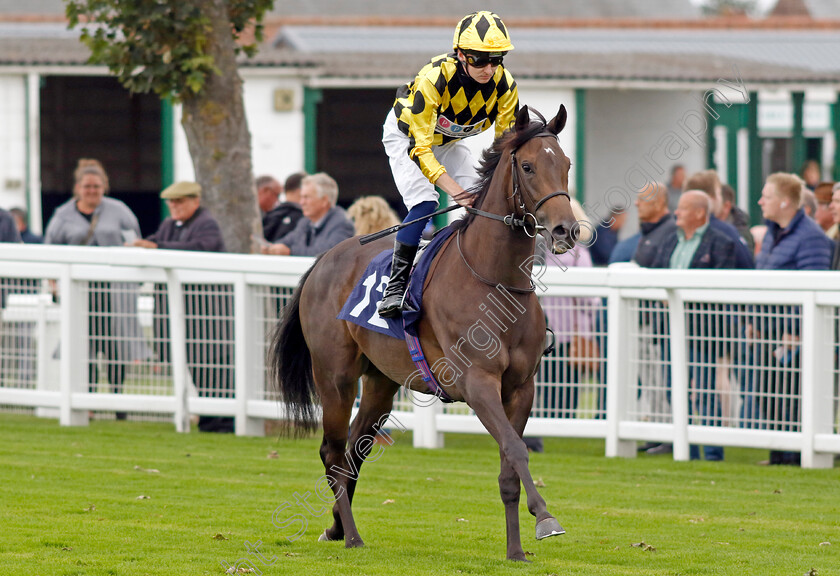 Scarlet-Lady-0002 
 SCARLET LADY (Adam Farragher)
Yarmouth 20 Sep 2023 - Pic Steven Cargill / Racingfotos.com